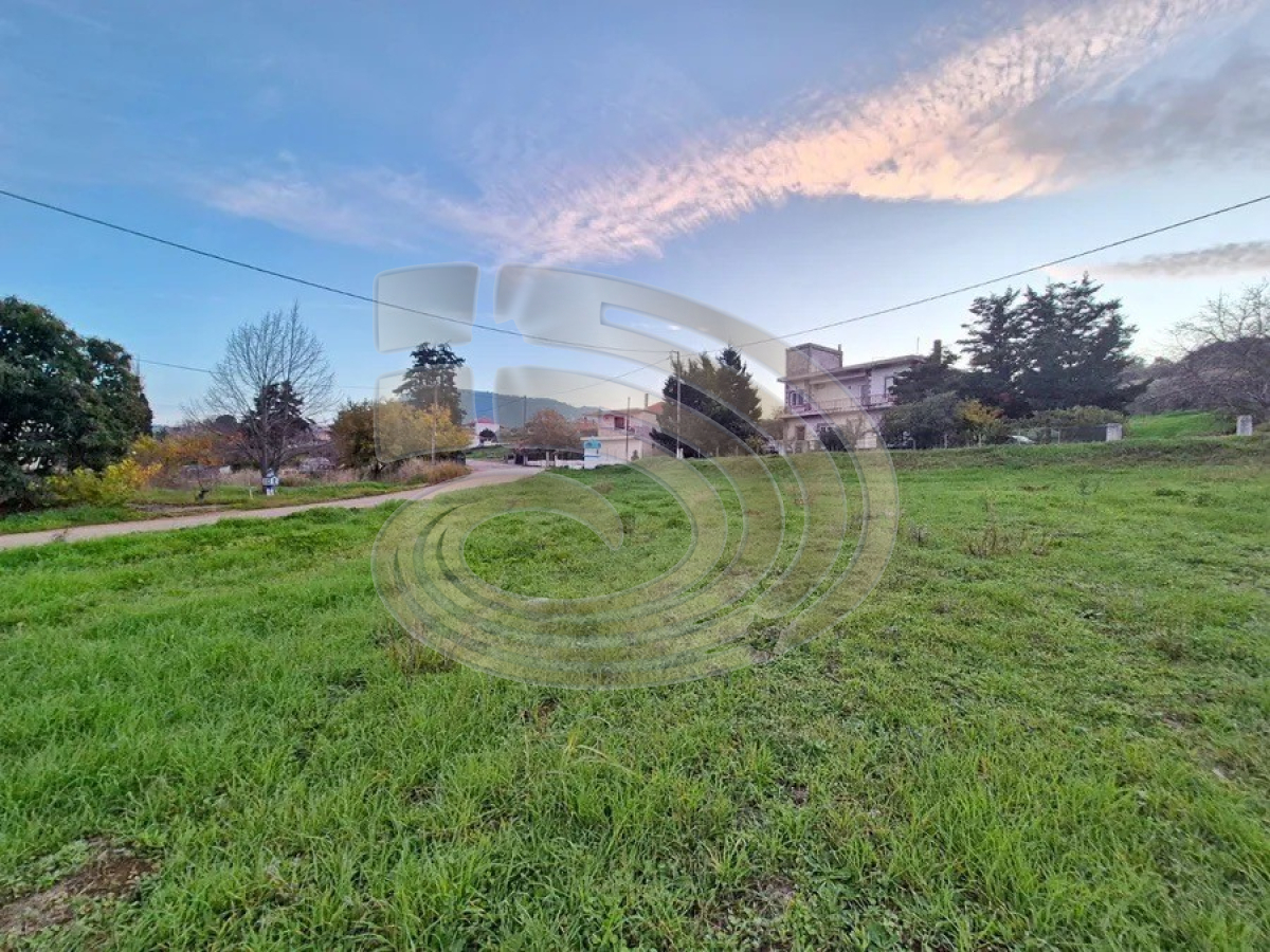property-img